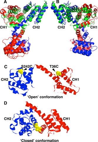 Fig. 1