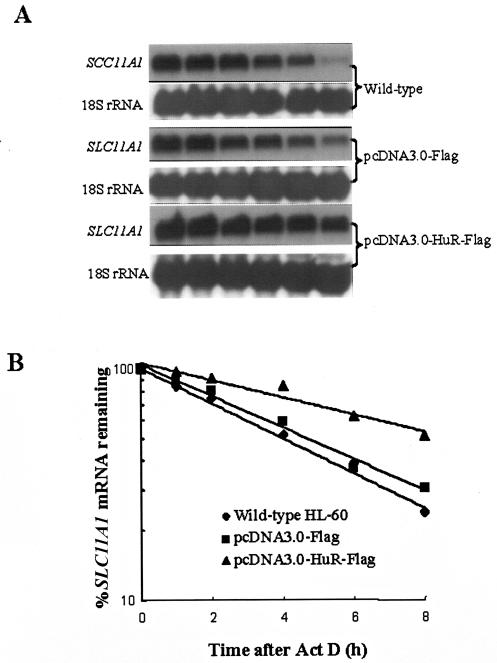 FIG. 5.