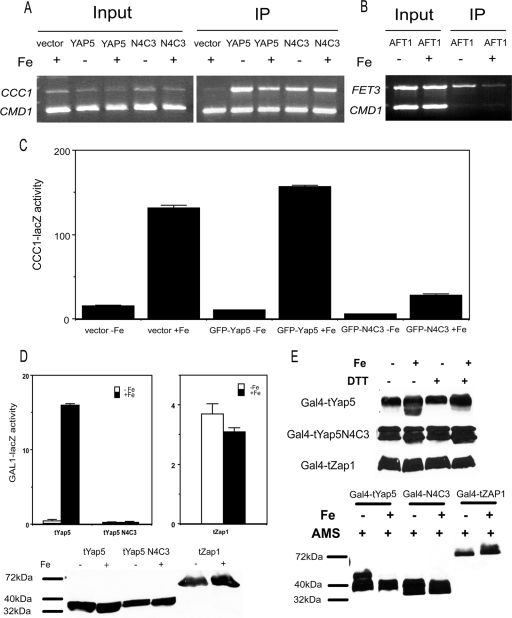 FIG. 6.