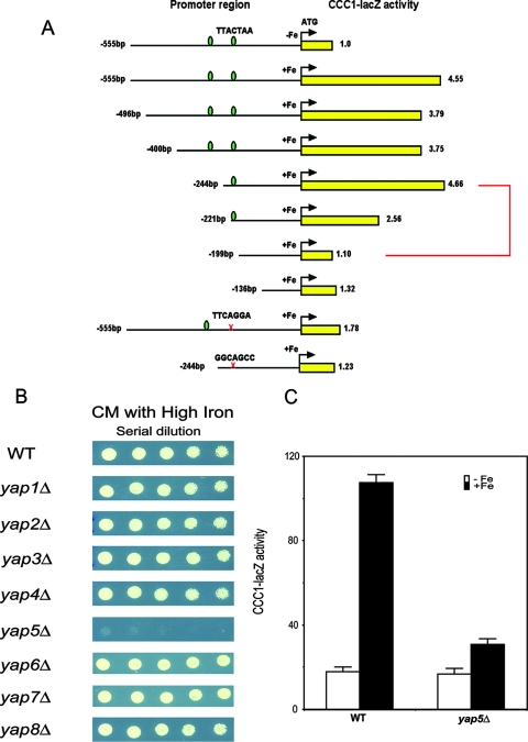 FIG. 3.