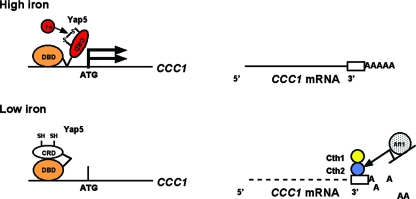 FIG. 7.