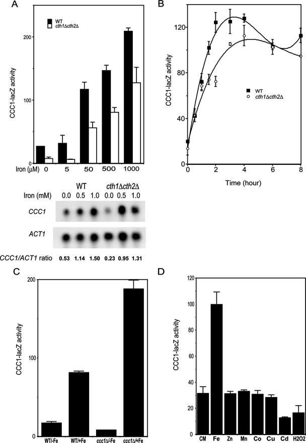 FIG. 2.