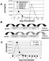 FIG. 2.