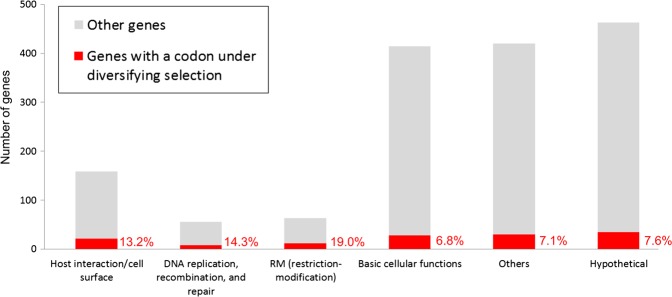 Figure 2.