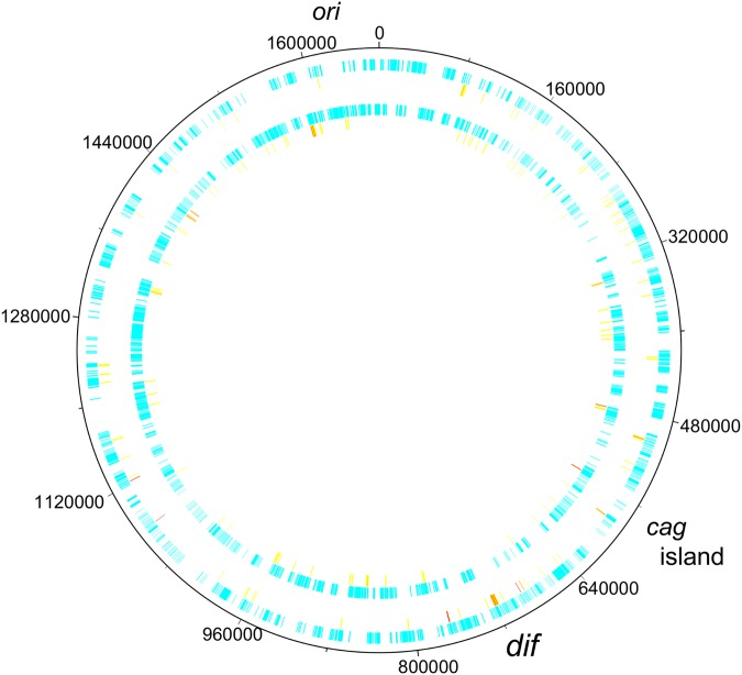 Figure 1.