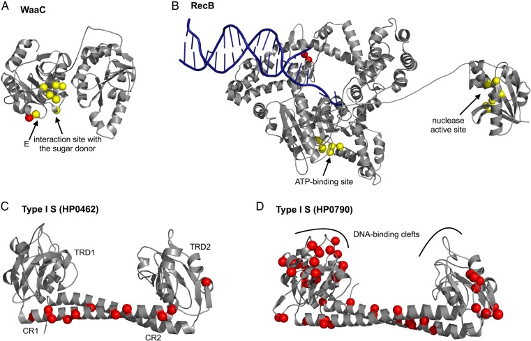 Figure 3.