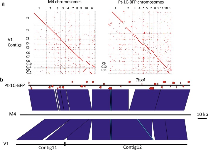 Fig. 2