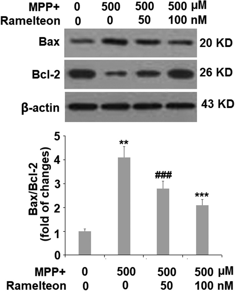 Figure 6.