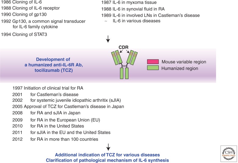 Figure 5.