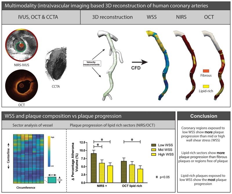 Graphical Abstract