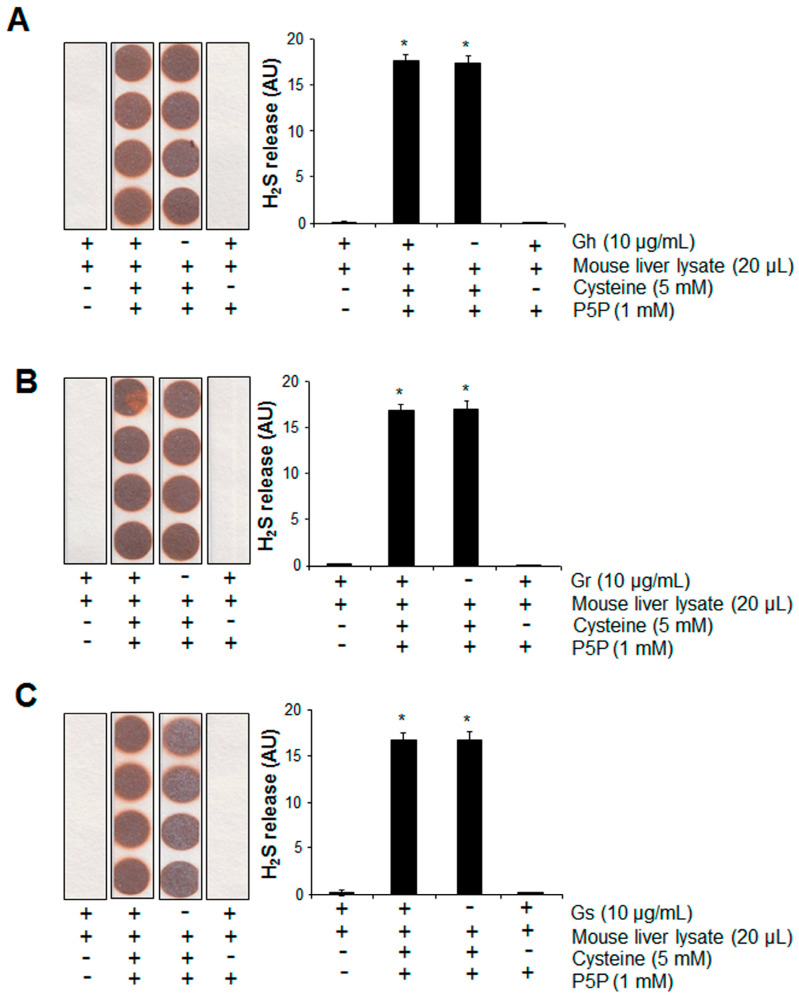 Figure 6