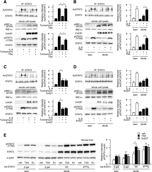 FIG. 8.