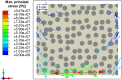 Fig. 10