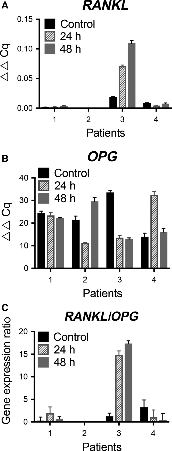 Figure 6