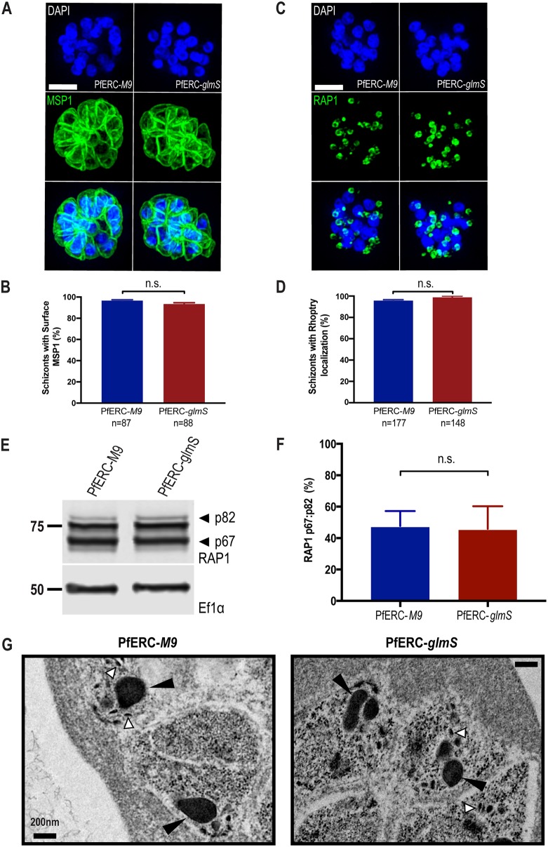 FIG 4