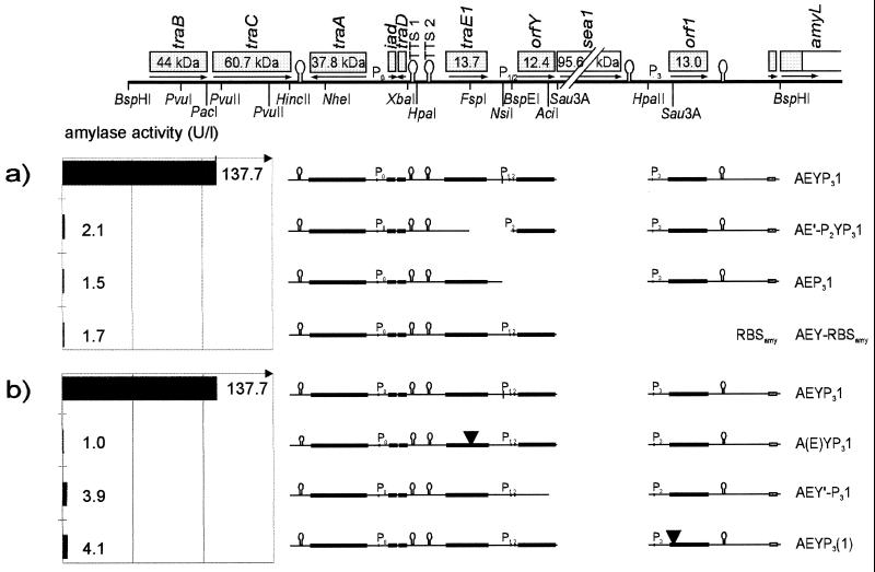 FIG. 6