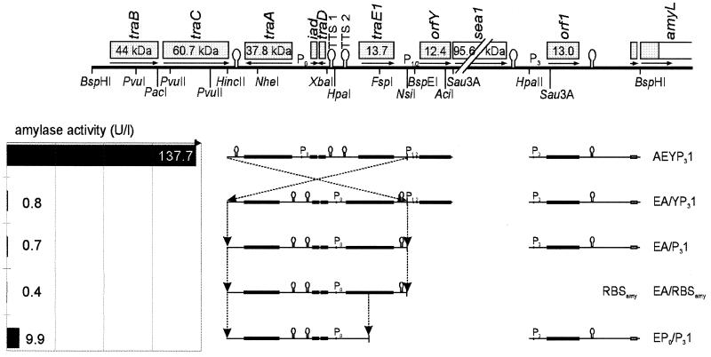 FIG. 5