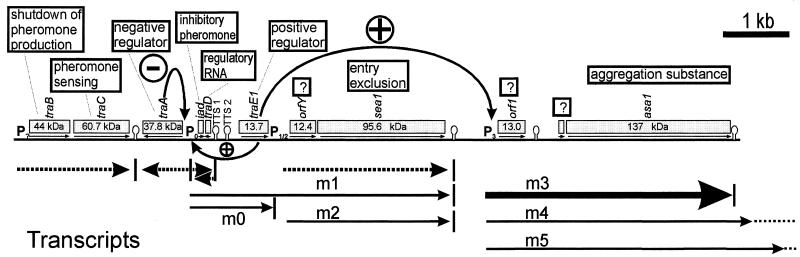 FIG. 1