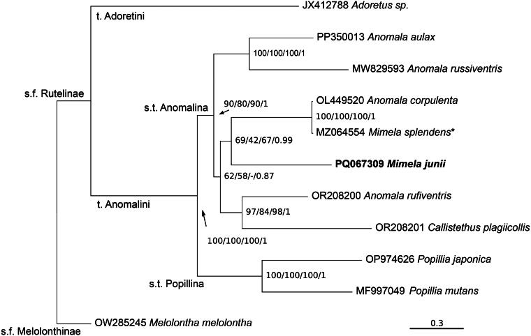 Figure 3.