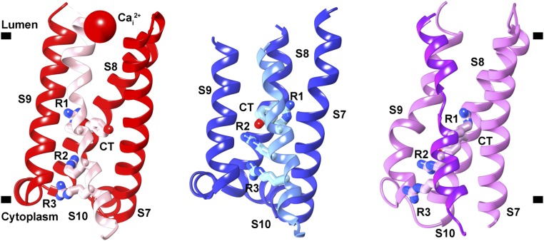 Fig. 2.