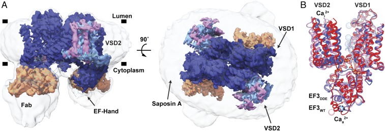 Fig. 1.