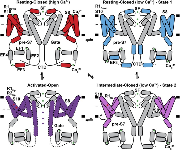 Fig. 6.