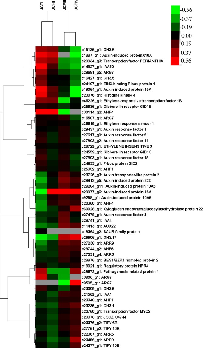 Figure 11