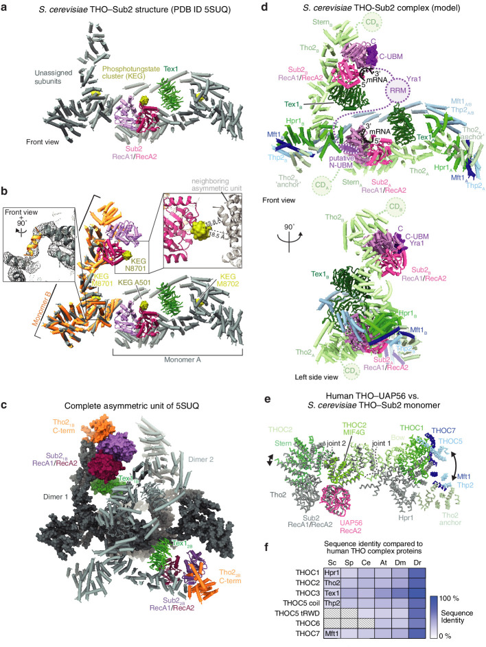 Figure 4—figure supplement 3.