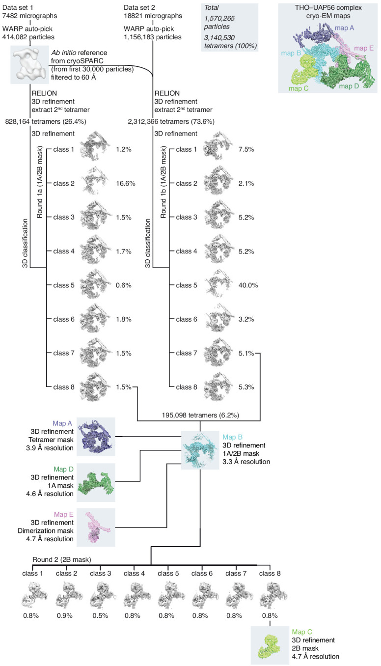 Figure 1—figure supplement 2.