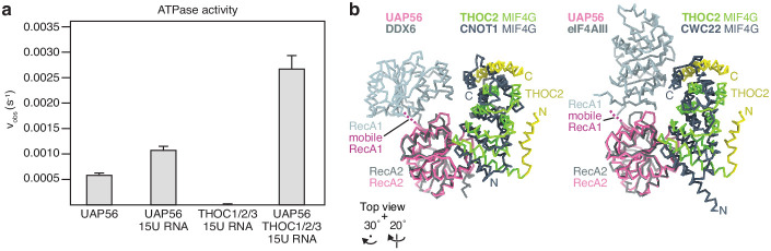 Figure 4—figure supplement 2.