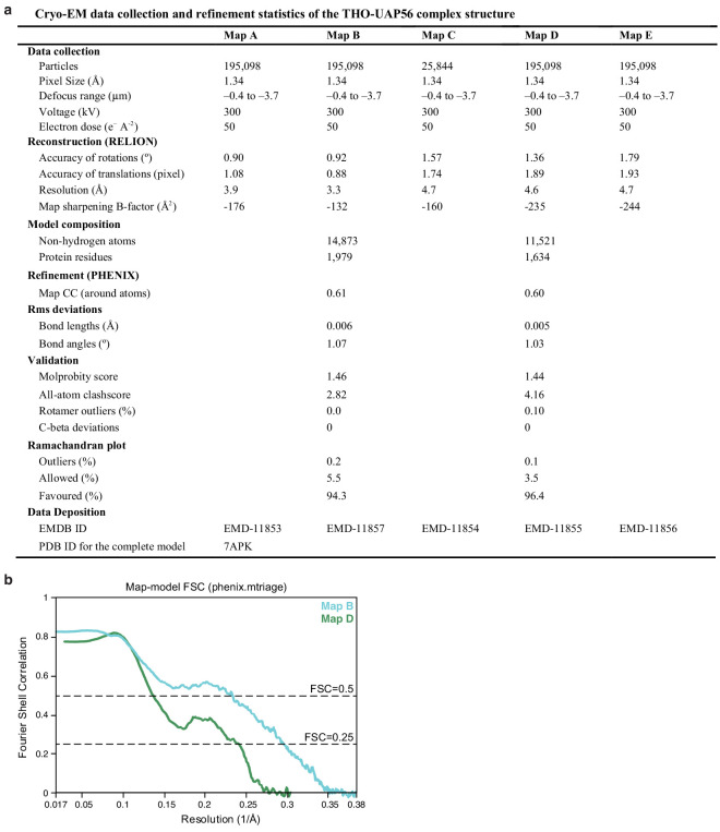 Figure 1—figure supplement 4.