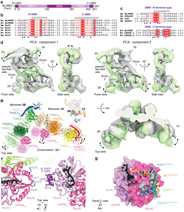 Figure 4—figure supplement 1.