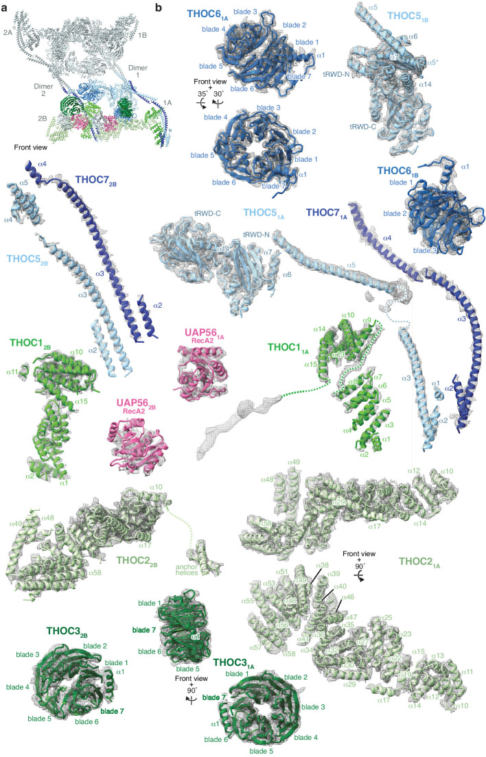 Figure 1—figure supplement 5.