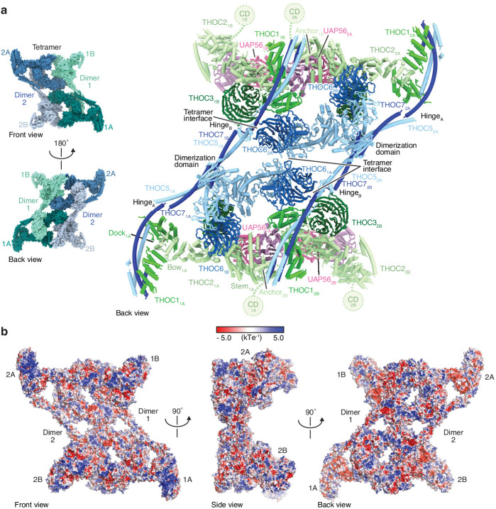 Figure 1—figure supplement 6.