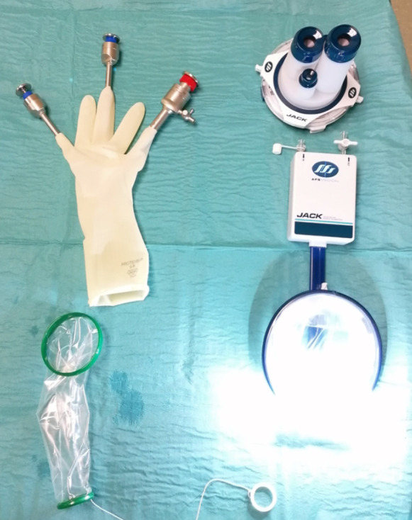Figure 2