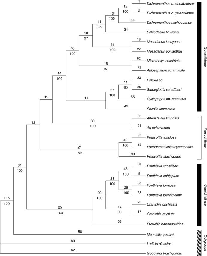 Fig. 4.