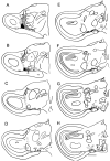 Fig. 3.