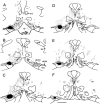 Fig. 6.