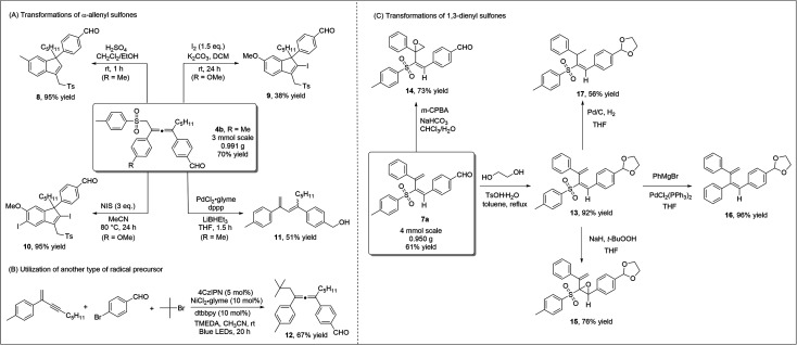 Scheme 5