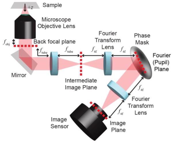 FIG 1