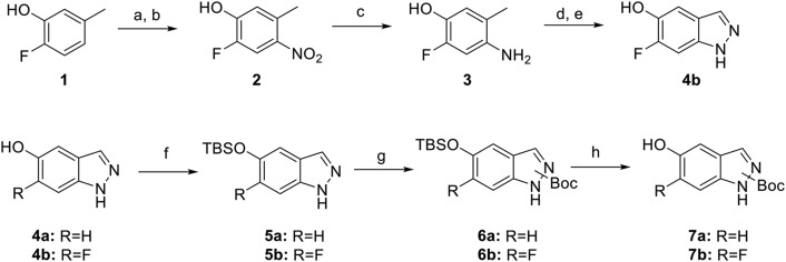 Scheme 1.