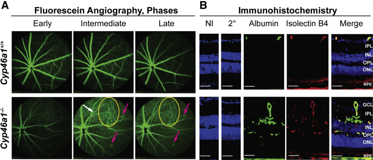 Figure 4