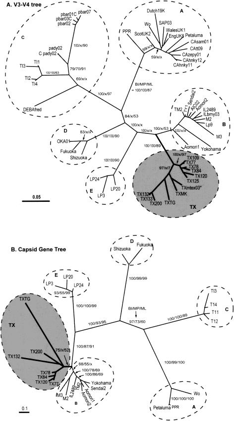 FIG.1.