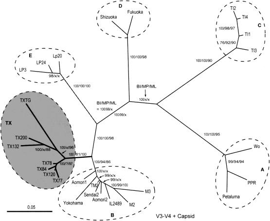 FIG. 2.