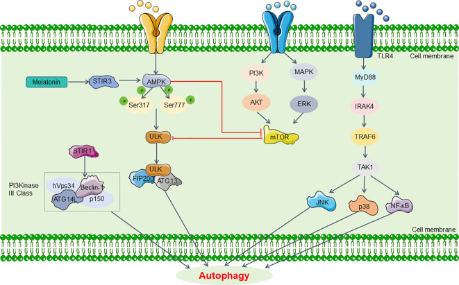 Figure 3