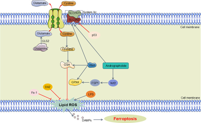 Figure 4