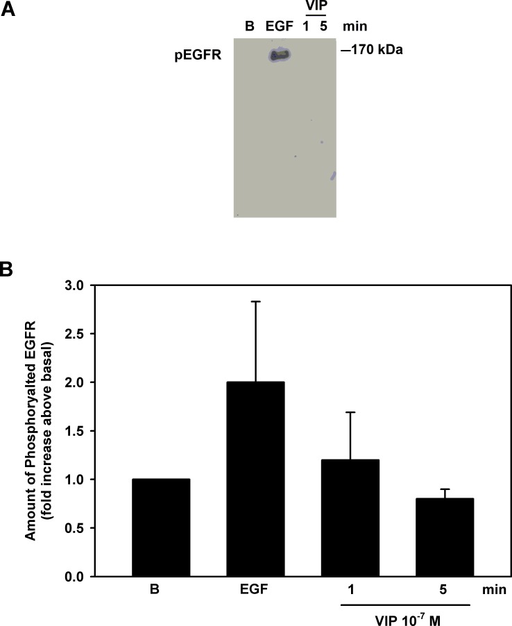 Figure 10. 