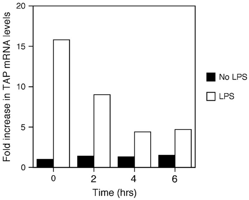 FIG. 1