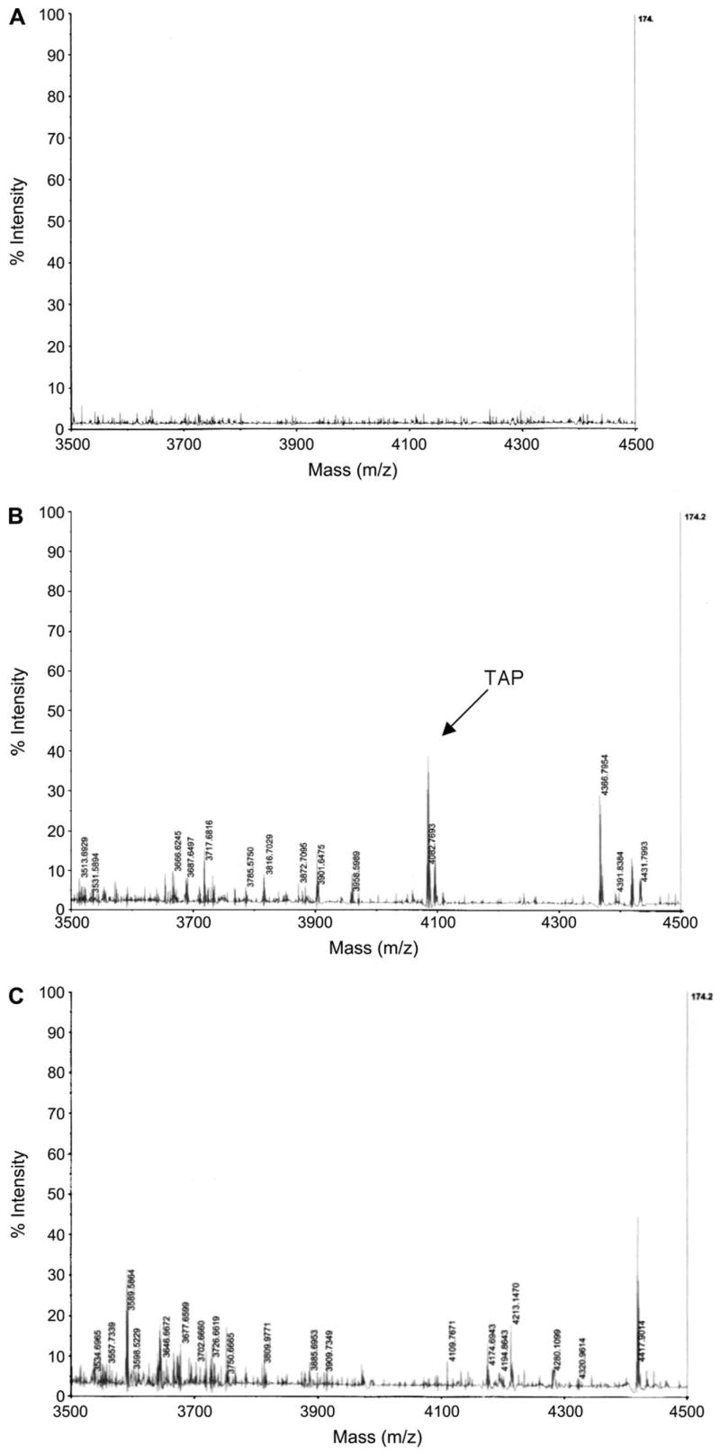 FIG. 8