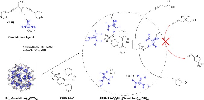 Figure 19